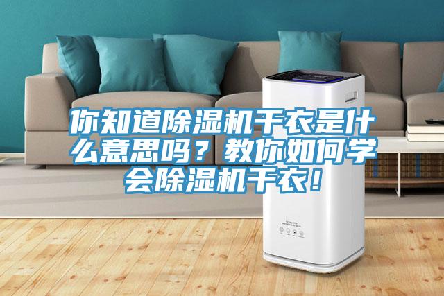 你知道除濕機(jī)干衣是什么意思嗎？教你如何學(xué)會(huì)除濕機(jī)干衣！