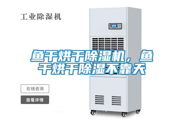 魚(yú)干烘干除濕機(jī)，魚(yú)干烘干除濕不靠天