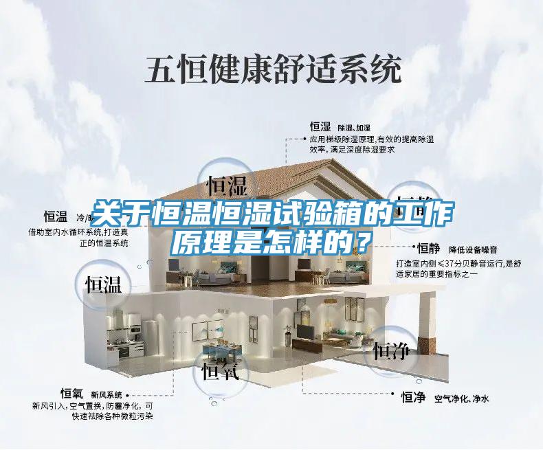 關(guān)于恒溫恒濕試驗(yàn)箱的工作原理是怎樣的？