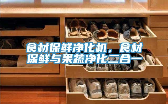 食材保鮮凈化機(jī)，食材保鮮與果蔬凈化二合一