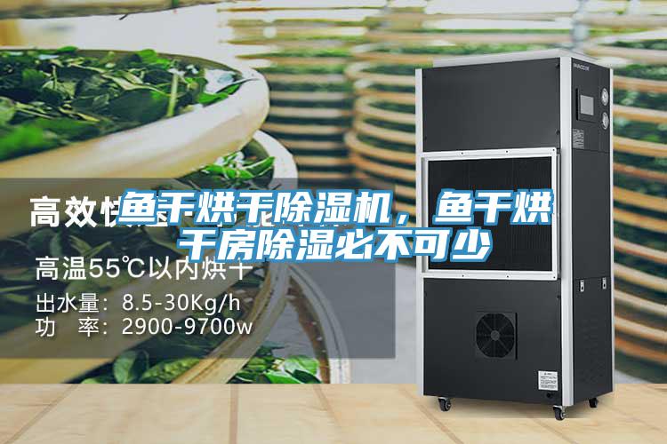魚(yú)干烘干除濕機(jī)，魚(yú)干烘干房除濕必不可少