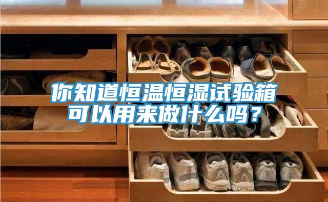 你知道恒溫恒濕試驗箱可以用來做什么嗎？