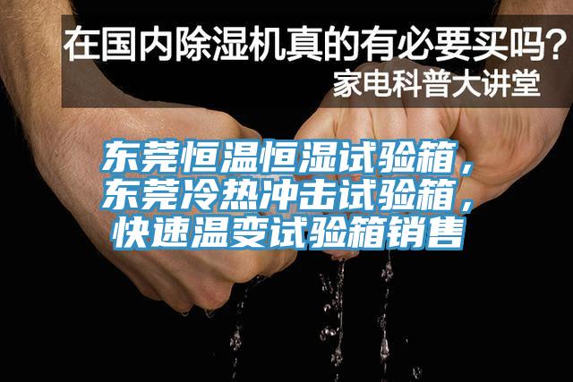 東莞恒溫恒濕試驗(yàn)箱，東莞冷熱沖擊試驗(yàn)箱，快速溫變?cè)囼?yàn)箱銷售