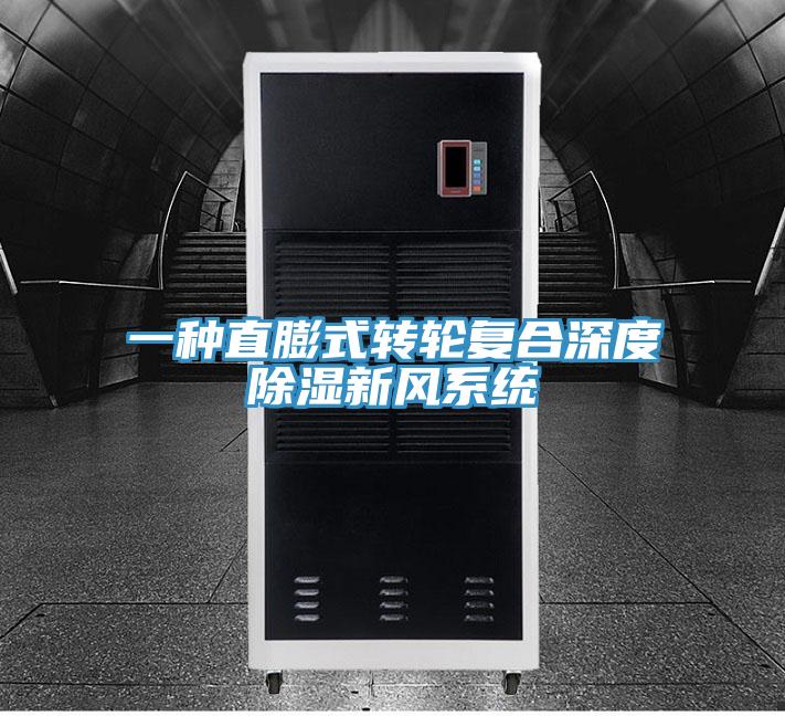一種直膨式轉(zhuǎn)輪復(fù)合深度除濕新風系統(tǒng)