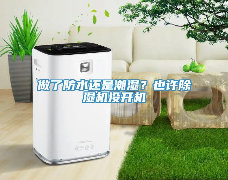 做了防水還是潮濕？也許除濕機沒開機