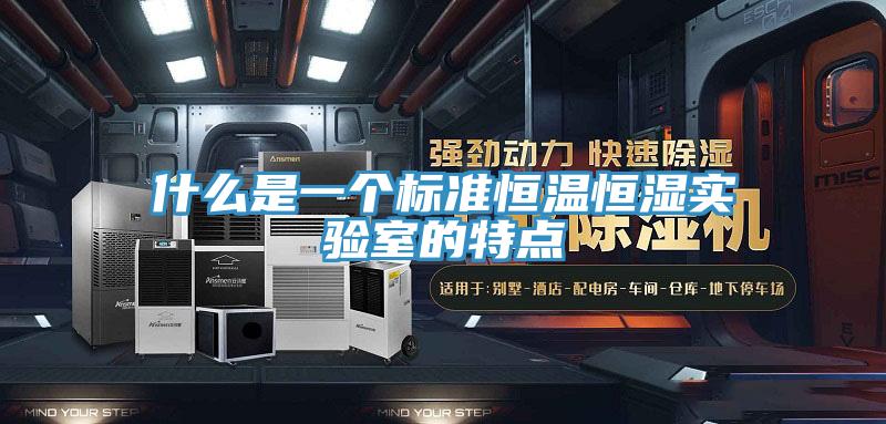 什么是一個標(biāo)準(zhǔn)恒溫恒濕實(shí)驗(yàn)室的特點(diǎn)