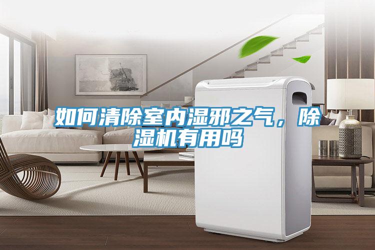 如何清除室內(nèi)濕邪之氣，除濕機有用嗎