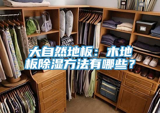大自然地板：木地板除濕方法有哪些？