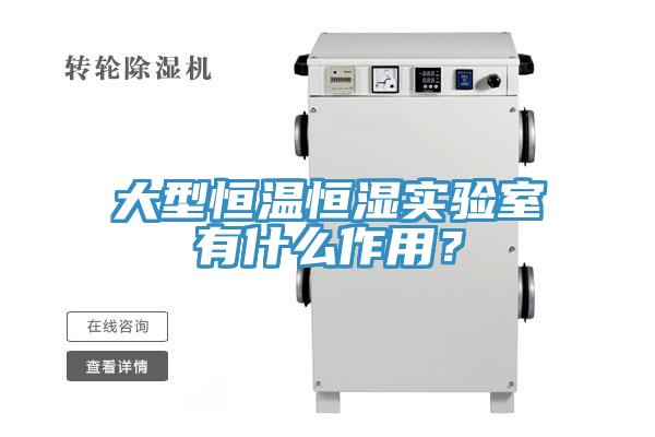 大型恒溫恒濕實(shí)驗(yàn)室有什么作用？
