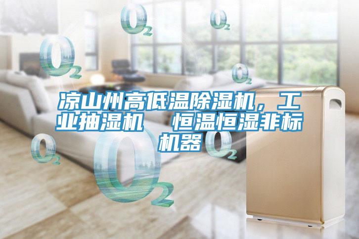 涼山州高低溫除濕機，工業(yè)抽濕機  恒溫恒濕非標機器