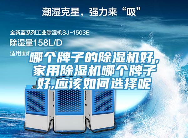 哪個牌子的除濕機好，家用除濕機哪個牌子好,應該如何選擇呢