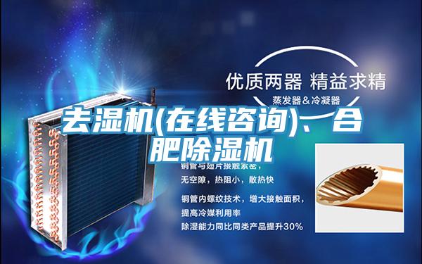 去濕機(jī)(在線咨詢)、合肥除濕機(jī)