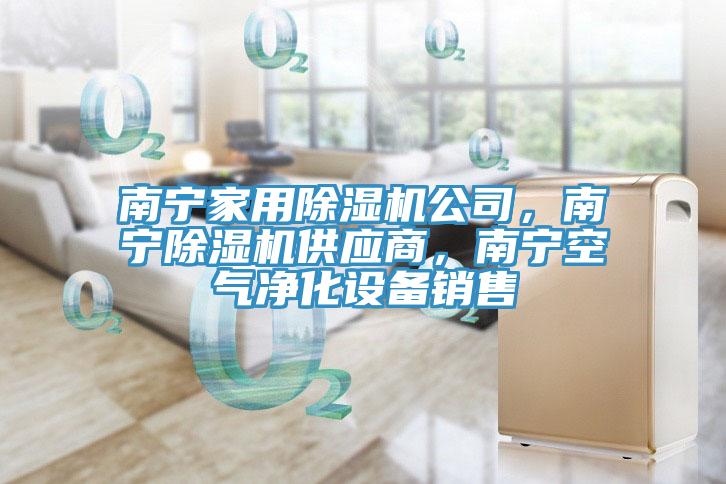 南寧家用除濕機(jī)公司，南寧除濕機(jī)供應(yīng)商，南寧空氣凈化設(shè)備銷售