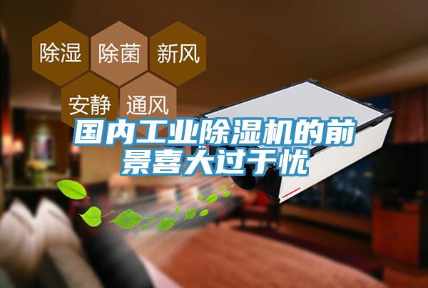 國內工業(yè)除濕機的前景喜大過于憂