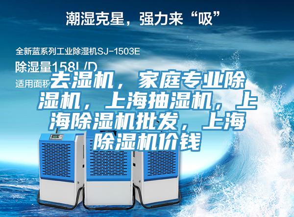 去濕機，家庭專業(yè)除濕機，上海抽濕機，上海除濕機批發(fā)，上海除濕機價錢