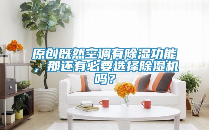 原創(chuàng)既然空調(diào)有除濕功能，那還有必要選擇除濕機嗎？