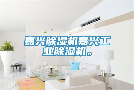 嘉興除濕機(jī)嘉興工業(yè)除濕機(jī)。