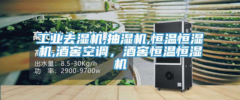 工業(yè)去濕機(jī),抽濕機(jī),恒溫恒濕機(jī),酒窖空調(diào)，酒窖恒溫恒濕機(jī)