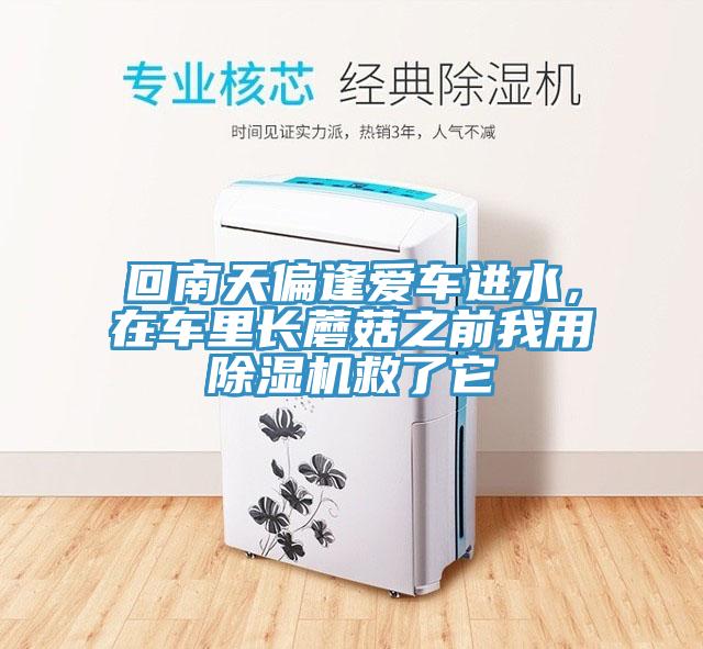 回南天偏逢愛(ài)車進(jìn)水，在車?yán)镩L(zhǎng)蘑菇之前我用除濕機(jī)救了它