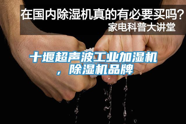 十堰超聲波工業(yè)加濕機(jī)，除濕機(jī)品牌