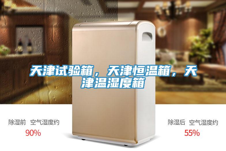 天津試驗(yàn)箱，天津恒溫箱，天津溫濕度箱