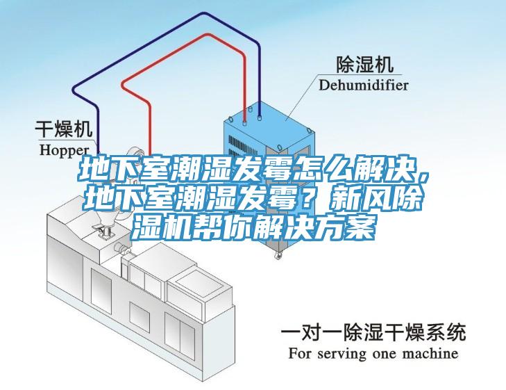 地下室潮濕發(fā)霉怎么解決，地下室潮濕發(fā)霉？新風除濕機幫你解決方案