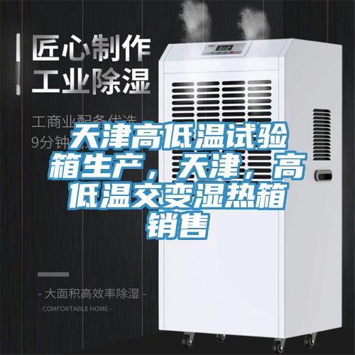 天津高低溫試驗(yàn)箱生產(chǎn)，天津，高低溫交變濕熱箱銷售