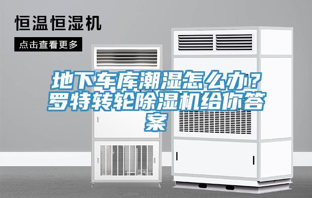地下車庫潮濕怎么辦？羅特轉(zhuǎn)輪除濕機(jī)給你答案