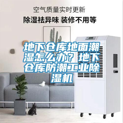 地下倉庫地面潮濕怎么辦？地下倉庫防潮工業(yè)除濕機(jī)