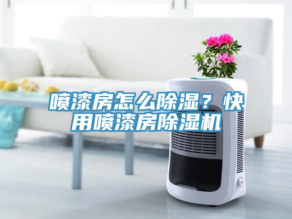 噴漆房怎么除濕？快用噴漆房除濕機(jī)