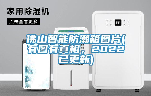 佛山智能防潮箱圖片(有圖有真相，2022已更新)
