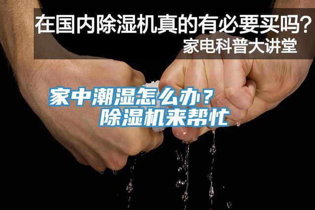 家中潮濕怎么辦？    除濕機(jī)來幫忙