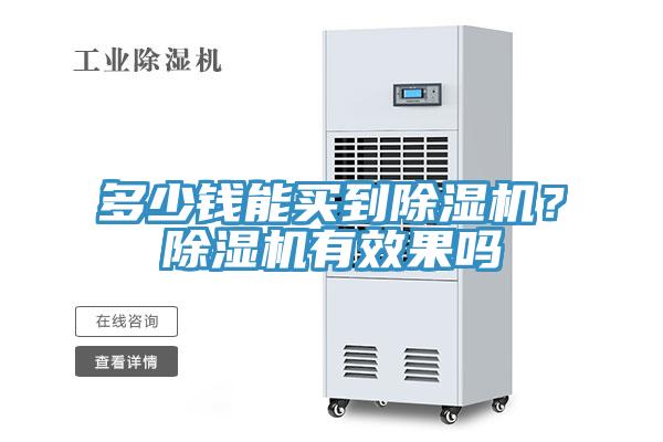 多少錢能買到除濕機？除濕機有效果嗎