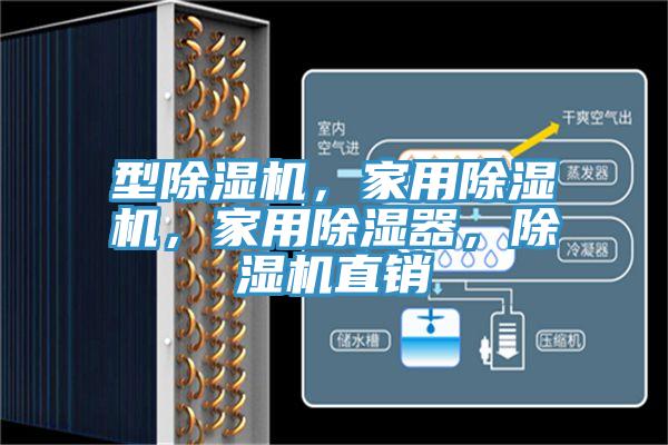型除濕機(jī)，家用除濕機(jī)，家用除濕器，除濕機(jī)直銷