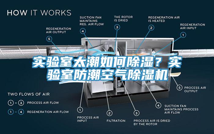 實(shí)驗(yàn)室太潮如何除濕？實(shí)驗(yàn)室防潮空氣除濕機(jī)