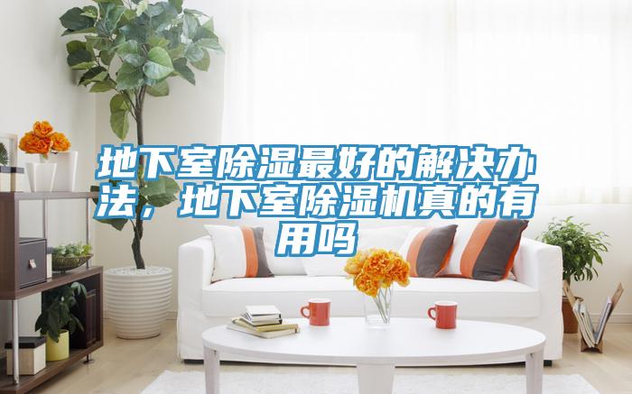 地下室除濕最好的解決辦法，地下室除濕機(jī)真的有用嗎