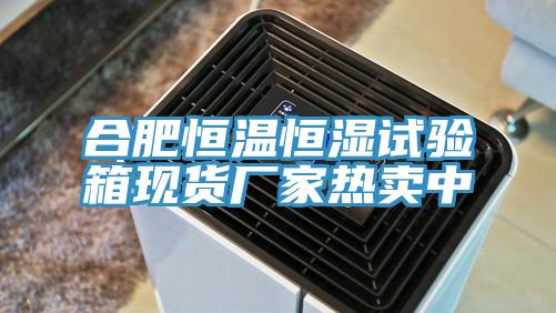 合肥恒溫恒濕試驗(yàn)箱現(xiàn)貨廠家熱賣(mài)中