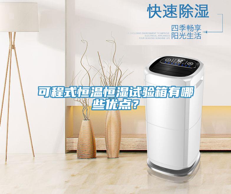 可程式恒溫恒濕試驗箱有哪些優(yōu)點？