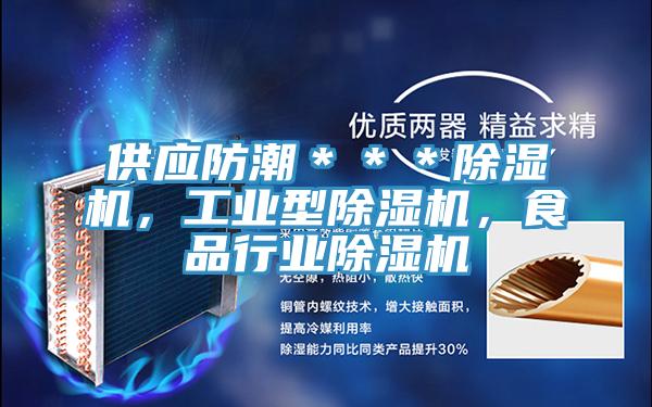 供應防潮＊＊＊除濕機，工業(yè)型除濕機，食品行業(yè)除濕機