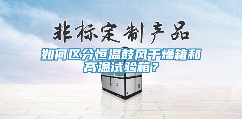 如何區(qū)分恒溫鼓風干燥箱和高溫試驗箱？
