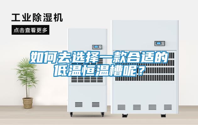 如何去選擇一款合適的低溫恒溫槽呢？