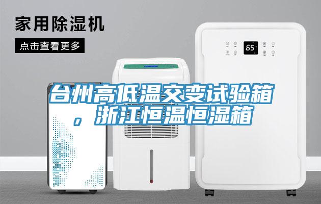 臺州高低溫交變試驗(yàn)箱，浙江恒溫恒濕箱