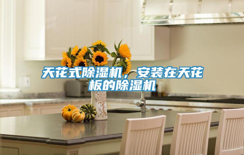 天花式除濕機(jī)，安裝在天花板的除濕機(jī)