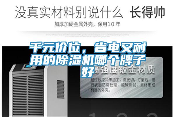 千元價位，省電又耐用的除濕機哪個牌子好