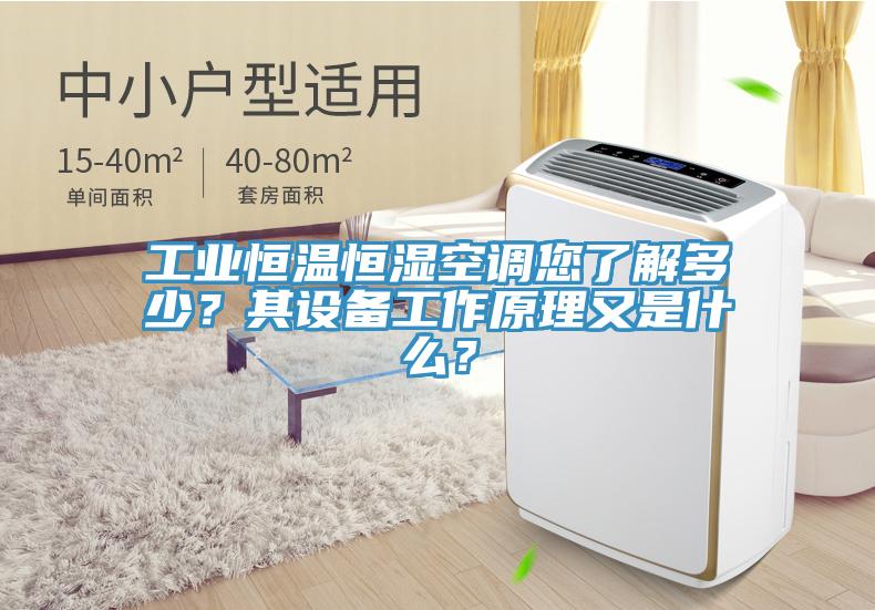 工業(yè)恒溫恒濕空調(diào)您了解多少？其設(shè)備工作原理又是什么？