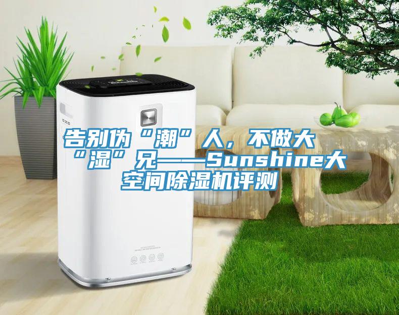 告別偽“潮”人，不做大“濕”兄——Sunshine大空間除濕機(jī)評測