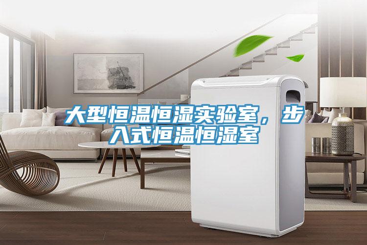 大型恒溫恒濕實(shí)驗(yàn)室，步入式恒溫恒濕室