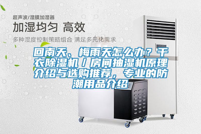 回南天、梅雨天怎么辦？干衣除濕機(jī)／房間抽濕機(jī)原理介紹與選購(gòu)?fù)扑]，專業(yè)的防潮用品介紹