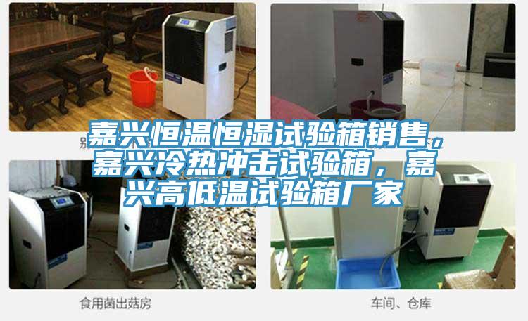 嘉興恒溫恒濕試驗(yàn)箱銷售，嘉興冷熱沖擊試驗(yàn)箱，嘉興高低溫試驗(yàn)箱廠家