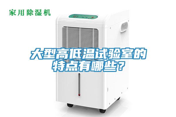 大型高低溫試驗(yàn)室的特點(diǎn)有哪些？